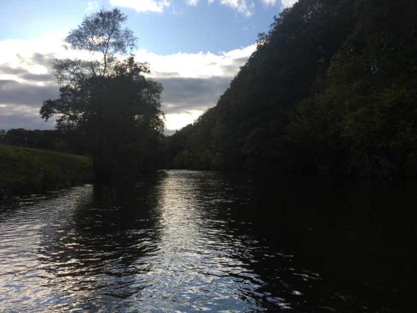 Irfon at Cefnllysgwynne in high water - SF from London